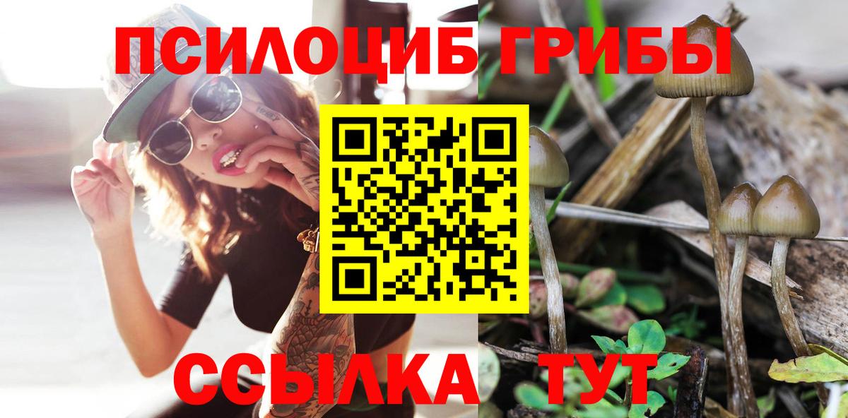 Самара  Псилоцибиновые грибы Cubensis  Псилоцибиновые грибы MAGIC MUSHROOMS  Вход с VPN 